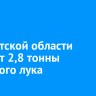 В Иркутской области соберут 2,8 тонны репчатого лука