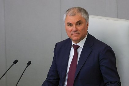 Володин ответил призвавшей не посещать Москву 9 Мая главе дипломатии ЕС