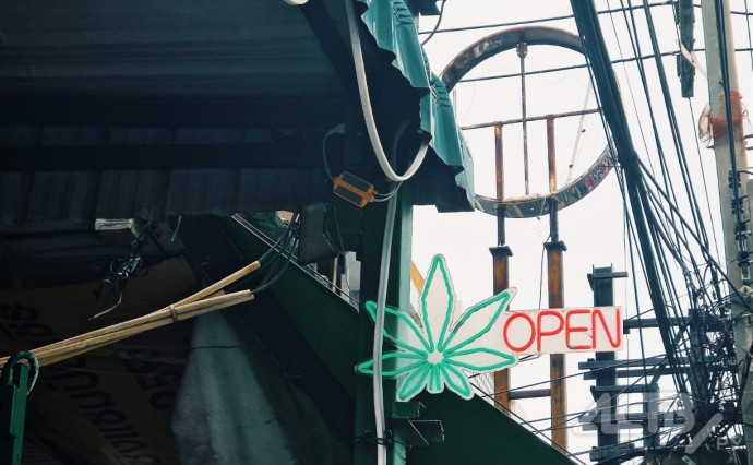 Собрал не тот урожай: на Сахалине пенсионер нашёл возле дачи кусты конопли и сделал заготовки Собрал не тот урожай: на Сахалине пенсионер нашёл возле дачи кусты конопли и сделал заготовки