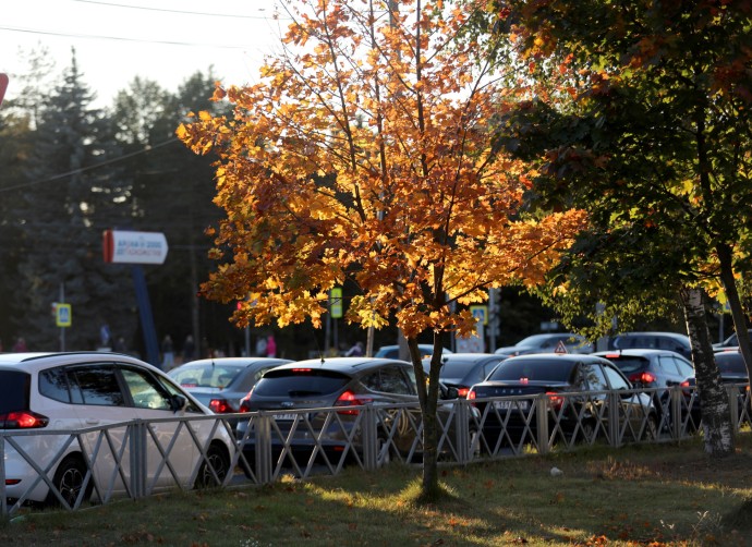 Стало известно, какие машины с пробегом подешевели с начала года в Ярославской области Стало известно, какие машины с пробегом подешевели с начала года в Ярославской области