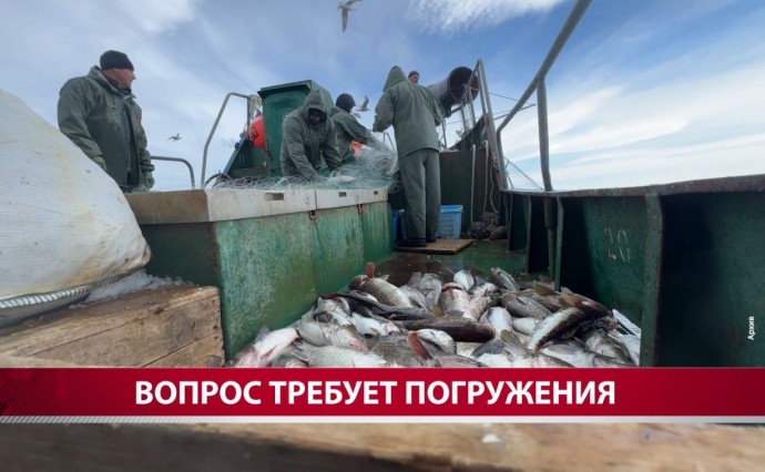 "Река нагревалась до +29 градусов": учёные обсудили причины провальной путины на Сахалине