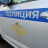 В программу обучения полицейских добавят беспилотные мишени
