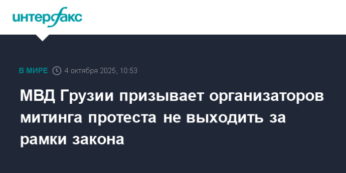 МВД Грузии призывает организаторов митинга протеста не выходить за рамки закона
