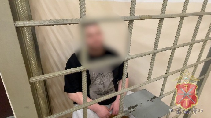 Тульские полицейские задержали аферистов, чьими жертвами стали продавцы с сайта объявлений