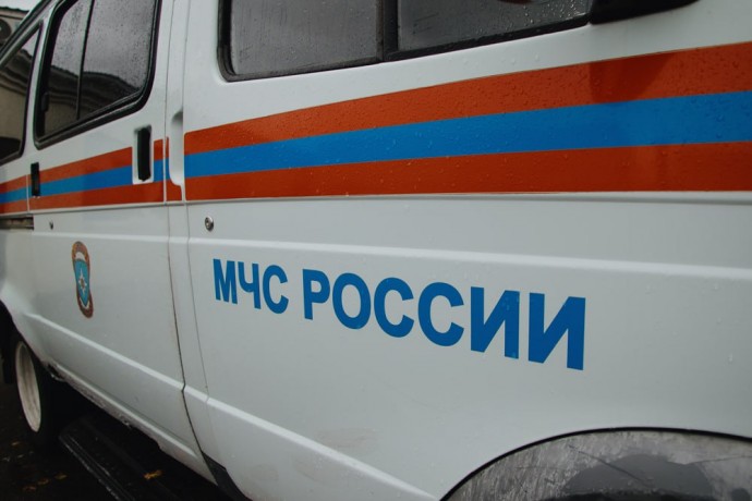 В Никольске Пензенской области подожгли хозяйственную постройку