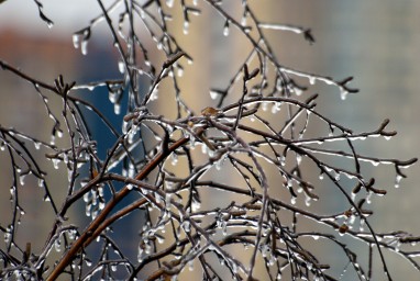 Шувалов предупредил о возможном ледяном дожде на следующей неделе
