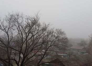 В Благовещенске проверили качество воздуха