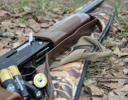 В России утвердили новый порядок получения охотничьего билета