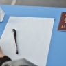 Две школьницы из Рязанской области набрали 100 баллов на ЕГЭ по литературе
