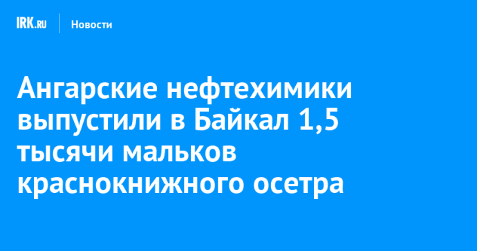 Ангарские нефтехимики выпустили в Байкал 1,5 тысячи мальков краснокнижного осетра