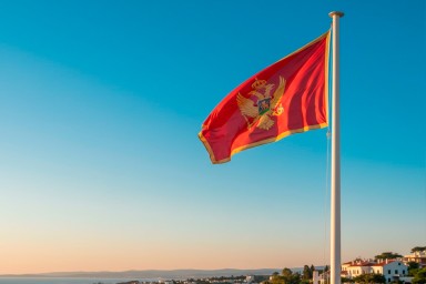 Парламент Черногории одобрил участие военных в миссии НАТО для Украины