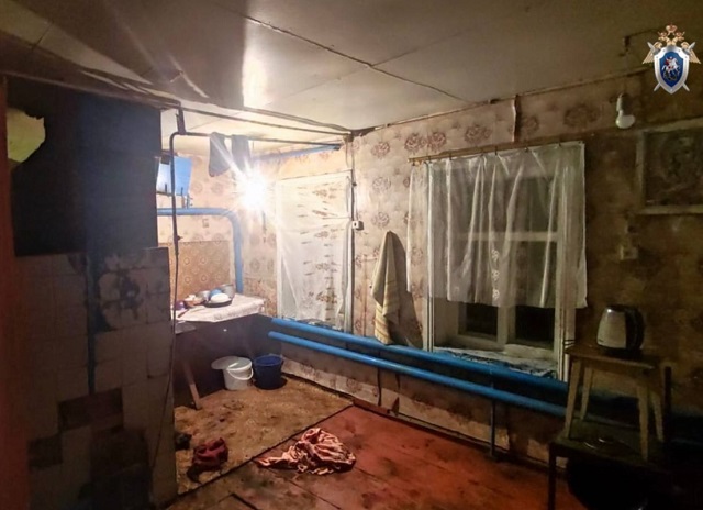 В Ардатовском районе пенсионер, виновный в гибели пенсионерки, осужден на 7,5 лет В Ардатовском районе пенсионер, виновный в гибели пенсионерки, осужден на 7,5 лет