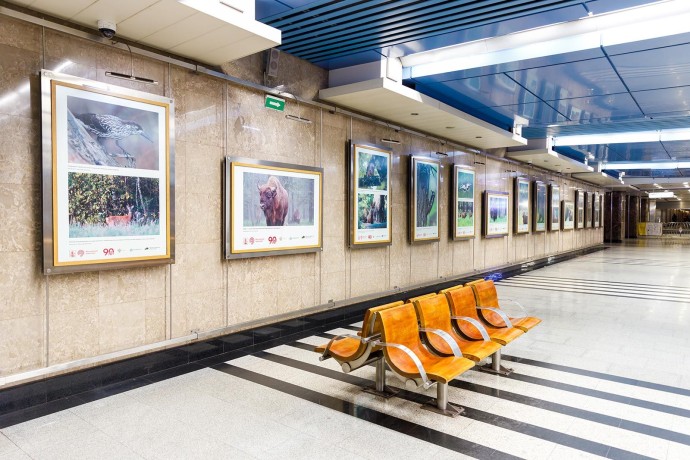 В метро открылась выставка к 80-летию Приокско-Террасного заповедника