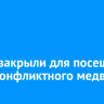 КБЖД закрыли для посещений из-за конфликтного медведя