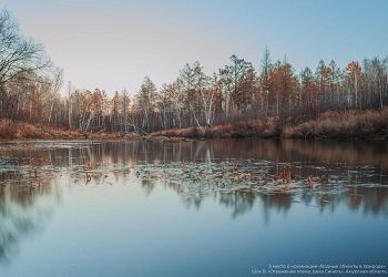 Житель Талакана вошел в тройку лучших фотографов страны Житель Талакана вошел в тройку лучших фотографов страны