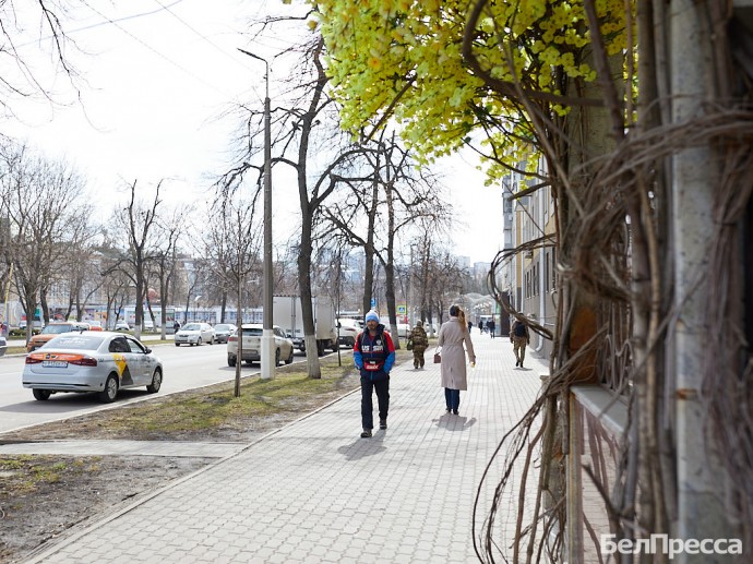 Белгородцев предупредили о новом виде мошенничества с самозапретом на кредиты