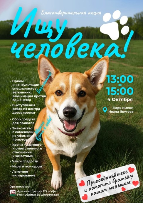 В Уфе ищут добрые руки для бесхозяйных питомцев