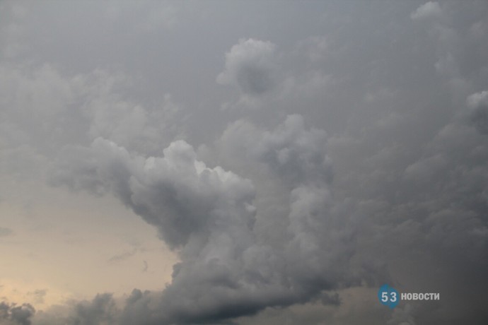 Рекордное тепло. Известный синоптик обратился к россиянам