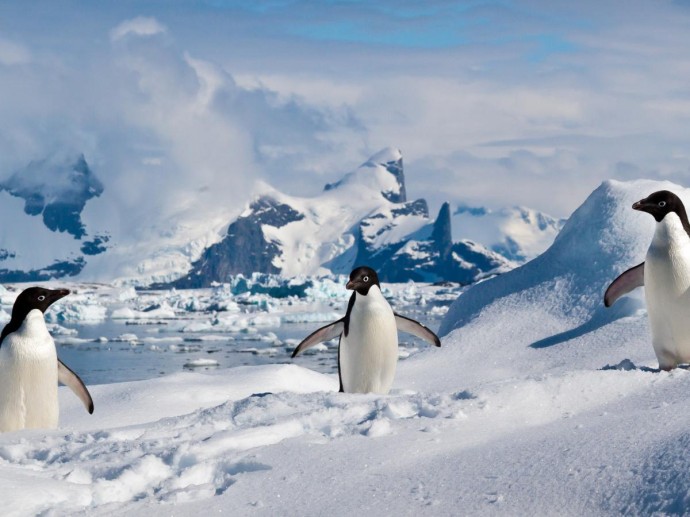 Антарктида замерзла навсегда: откуда берётся снег в месте, где небо никогда не плачет дождём