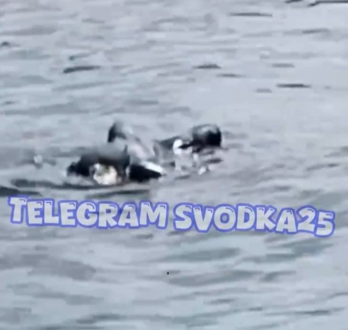 В бухте Золотой Рог обнаружили тело водолаза