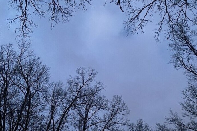 Белгородцев предупредили о мокром снеге и гололедице в воскресенье Белгородцев предупредили о мокром снеге и гололедице в воскресенье