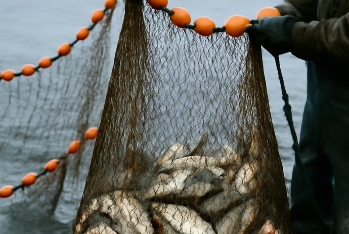 Все договоры на рыболовные участки будут перезаключены до июня 2026 года Все договоры на рыболовные участки будут перезаключены до июня 2026 года