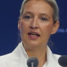 Германия — Вечеринка с последствиями: штаб AfD покидает Виттенау