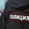 Россиянин избил кота на глазах у своих детей и выбросил его в мусорку