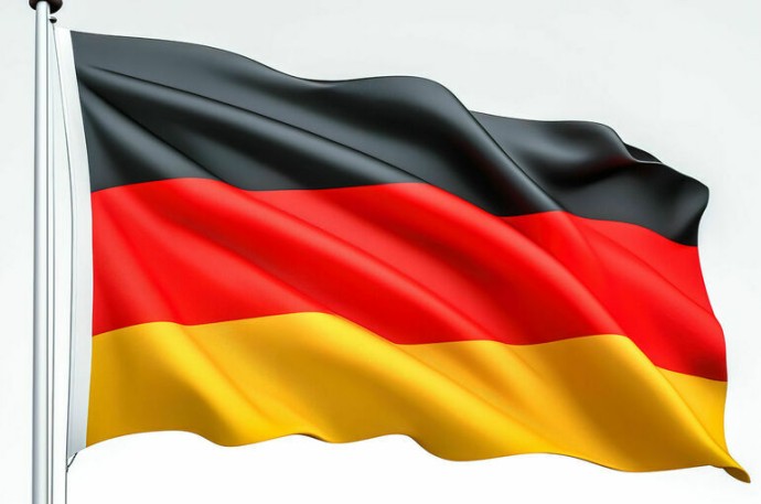 Мерц сообщил Трампу об идее использования активов РФ для поддержки ВСУ.