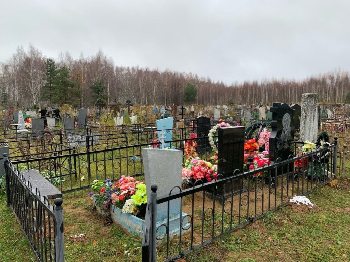 В Ярославле сделали цифровую модель Осташинского кладбища