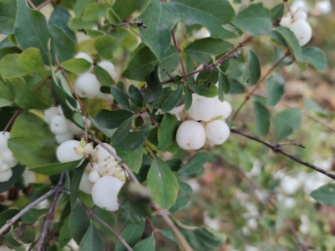 В Башкирии  водителям сделали важное предупреждение