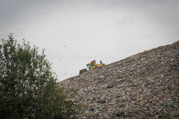 В Ярославле собираются реконструировать мусорный полигон Скоково В Ярославле собираются реконструировать мусорный полигон Скоково