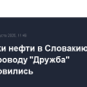 Поставки нефти в Словакию по трубопроводу "Дружба" возобновились
