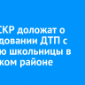 Главе СКР доложат о расследовании ДТП с гибелью школьницы в Тулунском районе