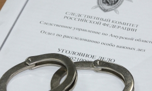 В Амурской области задержан мужчина, занимающий высшее положение в преступной иерархии и организовавший деятельность экстремистского сообщества