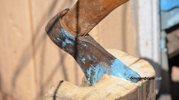 В Башкирии помилуют осужденного за срубленное дерево мужчину В Башкирии помилуют осужденного за срубленное дерево мужчину