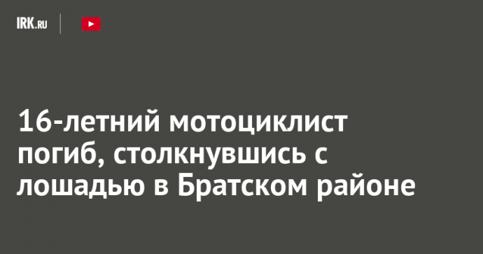 16-летний мотоциклист погиб, столкнувшись с лошадью в Братском районе