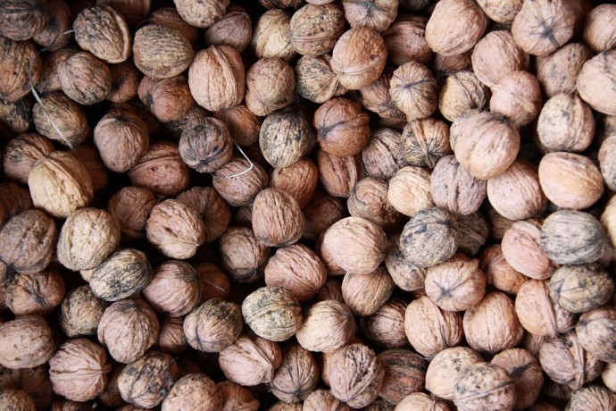 Что везут в Пензенскую область? Названы объёмы подкарантинных грузов за месяц