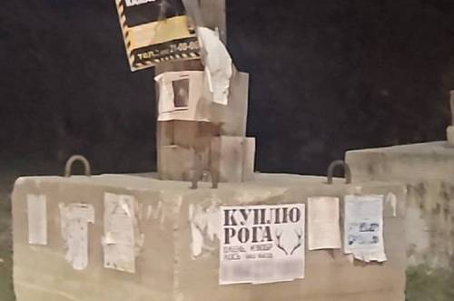 В Благовещенске заметили незаконно расклеенную рекламу о продаже рогов