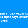 23 апреля в трех округах Иркутска проведут отжиги сухой травы