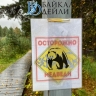В Иркутской области медведь вышел к людям ради мёда