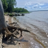 Ситуация на контроле: под Рыбинском провели проверку воды и почвы