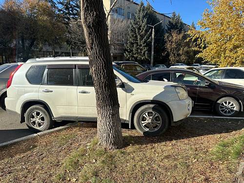 Олег Имамеев рассказал о борьбе с автохамами