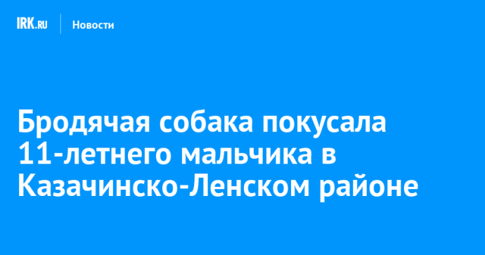 Безнадзорная собака покусала 11-летнего мальчика в Казачинско-Ленском районе Безнадзорная собака покусала 11-летнего мальчика в Казачинско-Ленском районе
