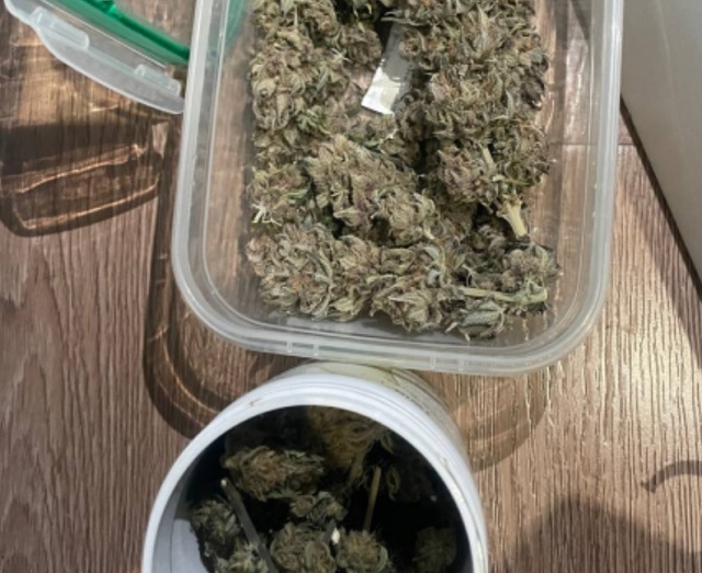 В Мордовии изъяли у помощника машиниста марихуану и гроубокс В Мордовии изъяли у помощника машиниста марихуану и гроубокс