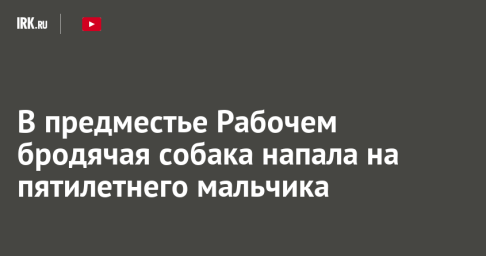 В предместье Рабочем бродячая собака напала на пятилетнего мальчика