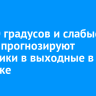 До +30 градусов и слабые дожди прогнозируют синоптики в выходные в Иркутске