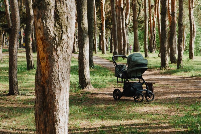 Пензенским родителям рассказали, где бесплатно арендовать товары для новорождённых