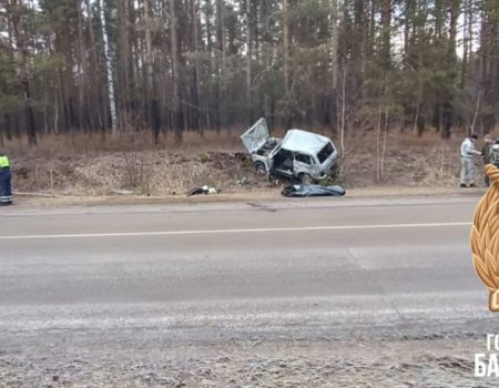 В Башкирии пожилой водитель погиб, вылетев в кювет В Башкирии пожилой водитель погиб, вылетев в кювет