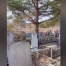 В сети появились кадры сожженных могил на Игнатовском кладбище под Ярославлем